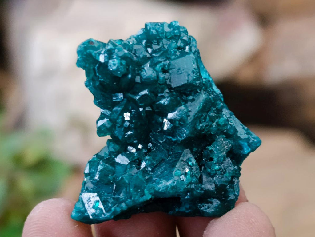 Natural Small Dioptase Specimens on Dolomite Matrix x 20 From Tantara Mine, Congo - Toprock Gemstones and Minerals 