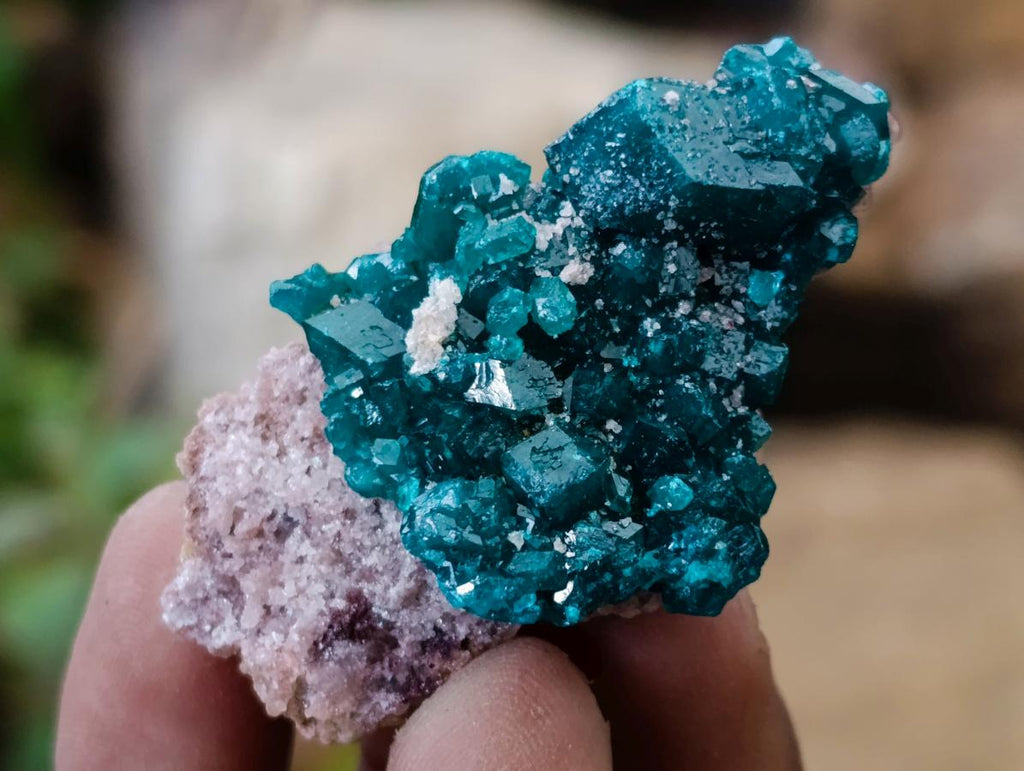 Natural Small Dioptase Specimens on Dolomite Matrix x 20 From Tantara Mine, Congo - Toprock Gemstones and Minerals 
