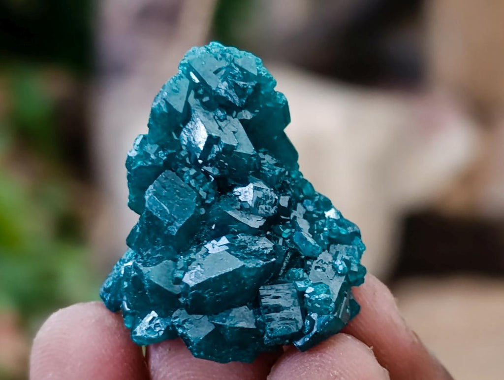 Natural Small Dioptase Specimens on Dolomite Matrix x 20 From Tantara Mine, Congo - Toprock Gemstones and Minerals 