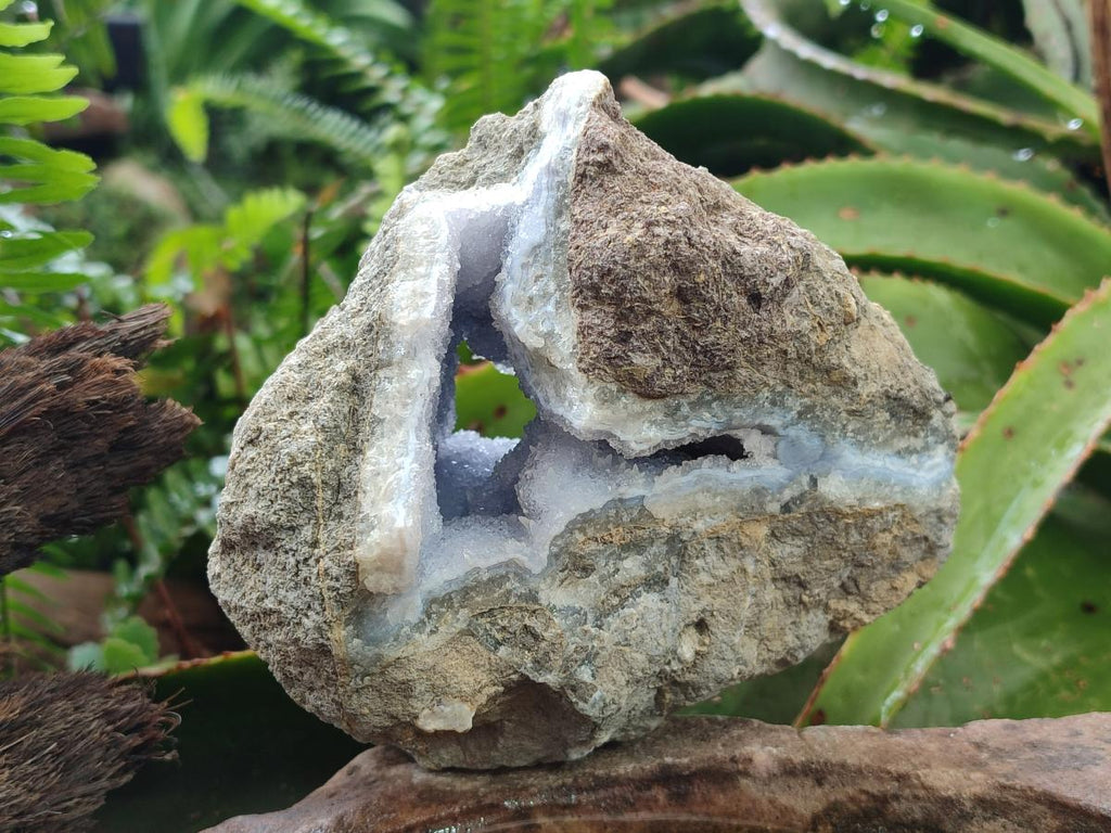 Natural Blue Lace Agate Geode Specimens x 5 From Nsanje, Malawi - Toprock Gemstones and Minerals 