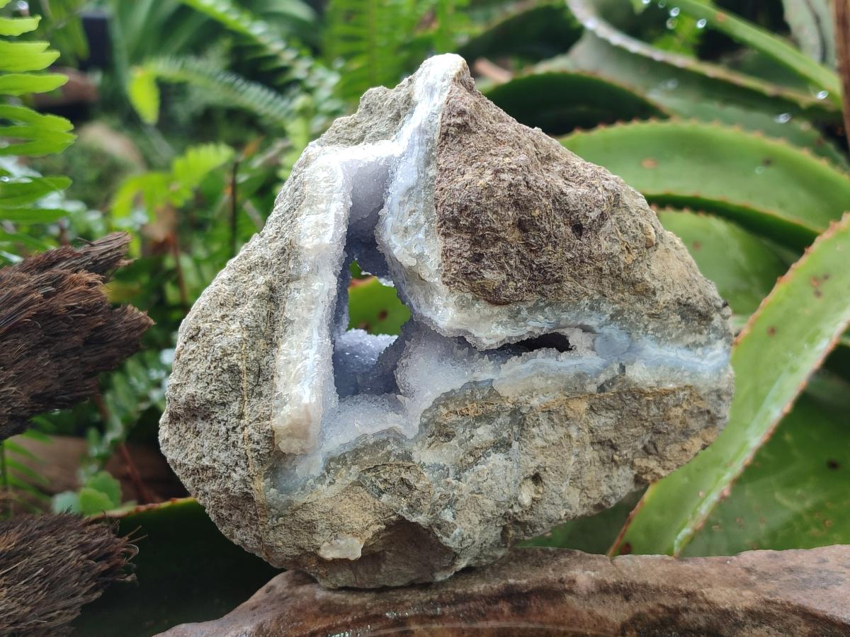 Natural Blue Lace Agate Geode Specimens x 5 From Nsanje, Malawi - Toprock Gemstones and Minerals 