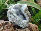 Natural Blue Lace Agate Geode Specimens x 5 From Nsanje, Malawi - Toprock Gemstones and Minerals 