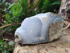Natural Blue Lace Agate Geode Specimens x 5 From Nsanje, Malawi - Toprock Gemstones and Minerals 