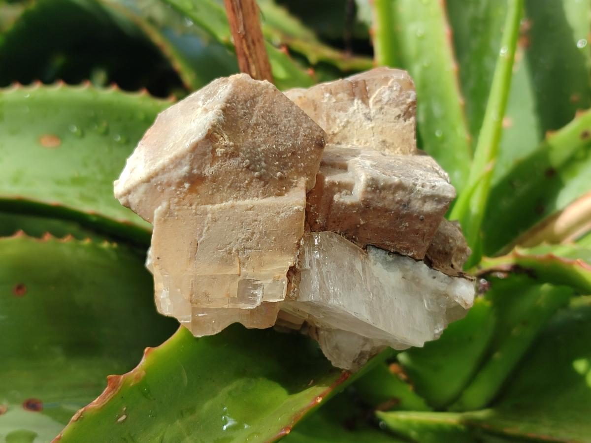 Natural Stacked Rhombohedral Calcite Crystals with Phosphorus Aragonite x 6 From Albert's Mountain, Lesotho - Toprock Gemstones and Minerals 