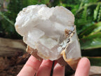 Natural Stacked Rhombohedral Calcite Crystals with Phosphorus Aragonite x 6 From Albert's Mountain, Lesotho - Toprock Gemstones and Minerals 