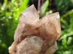 Natural Cascading White Phantom Smokey Luena Quartz Clusters x 6 From Luena, Congo - Toprock Gemstones and Minerals 