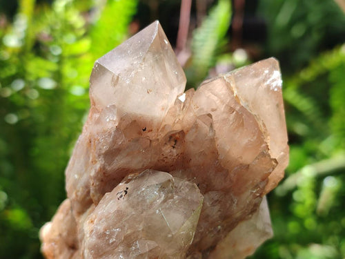 Natural Cascading White Phantom Smokey Luena Quartz Clusters x 6 From Luena, Congo - Toprock Gemstones and Minerals 