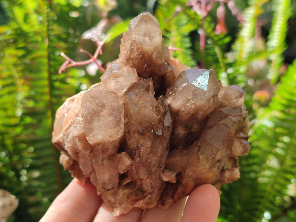 Natural Cascading White Phantom Smokey Luena Quartz Clusters x 6 From Luena, Congo - Toprock Gemstones and Minerals 