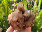 Natural Cascading White Phantom Smokey Luena Quartz Clusters x 6 From Luena, Congo - Toprock Gemstones and Minerals 