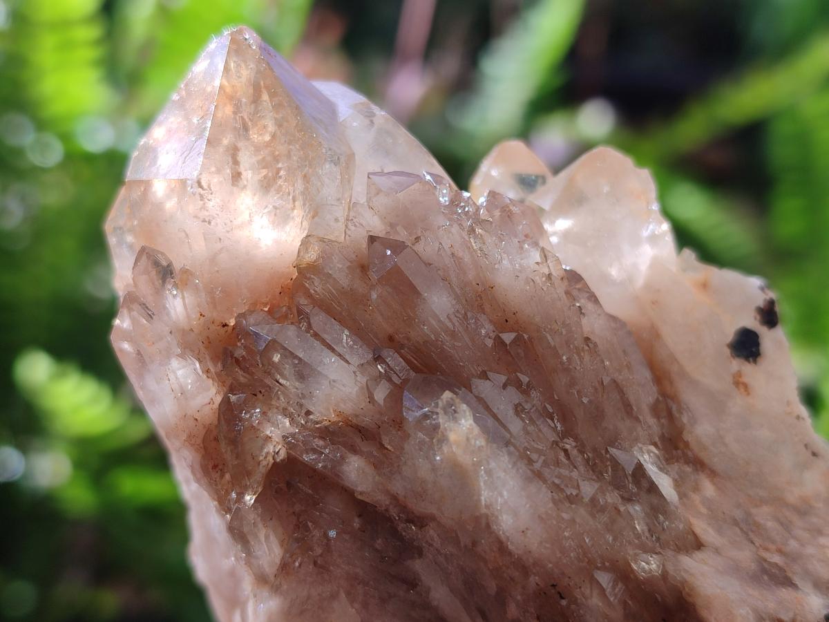 Natural Cascading White Phantom Smokey Luena Quartz Clusters x 6 From Luena, Congo - Toprock Gemstones and Minerals 
