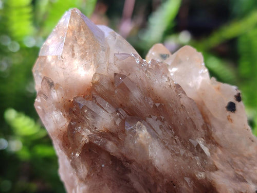 Natural Cascading White Phantom Smokey Luena Quartz Clusters x 6 From Luena, Congo - Toprock Gemstones and Minerals 