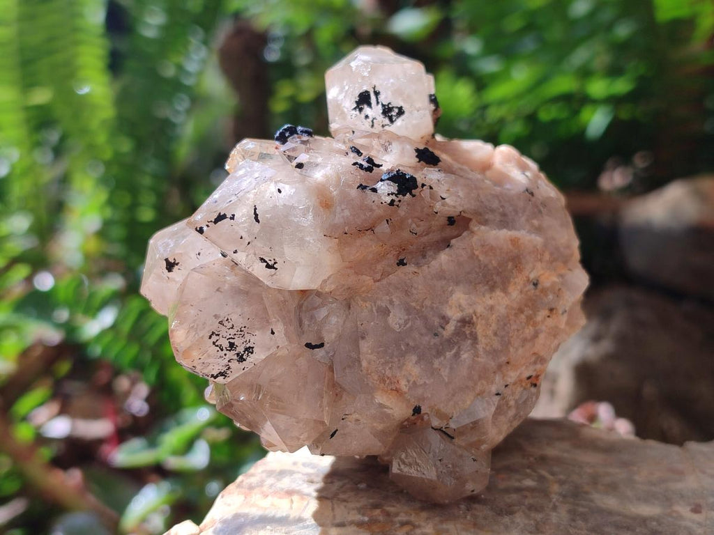 Natural Cascading White Phantom Smokey Luena Quartz Clusters x 6 From Luena, Congo - Toprock Gemstones and Minerals 
