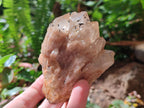 Natural Cascading White Phantom Smokey Luena Quartz Clusters x 6 From Luena, Congo - Toprock Gemstones and Minerals 