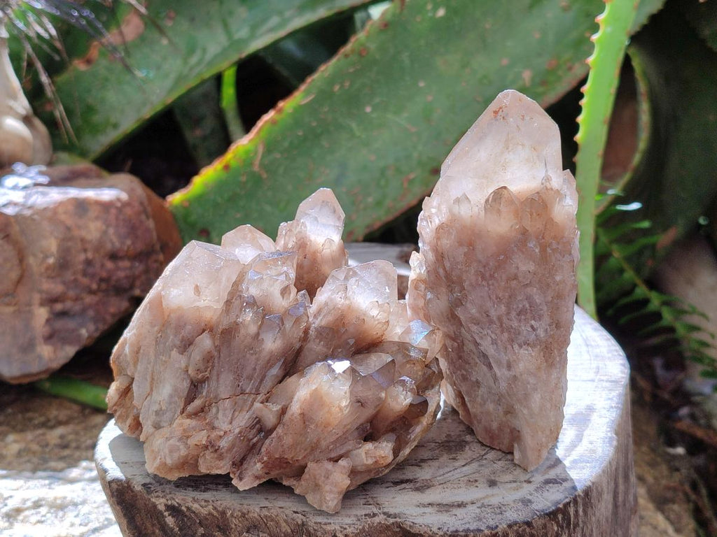 Natural Cascading White Phantom Smokey Luena Quartz Clusters x 6 From Luena, Congo - Toprock Gemstones and Minerals 