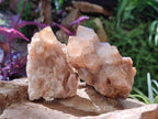 Natural Cascading White Phantom Smokey Luena Quartz Clusters x 6 From Luena, Congo - Toprock Gemstones and Minerals 