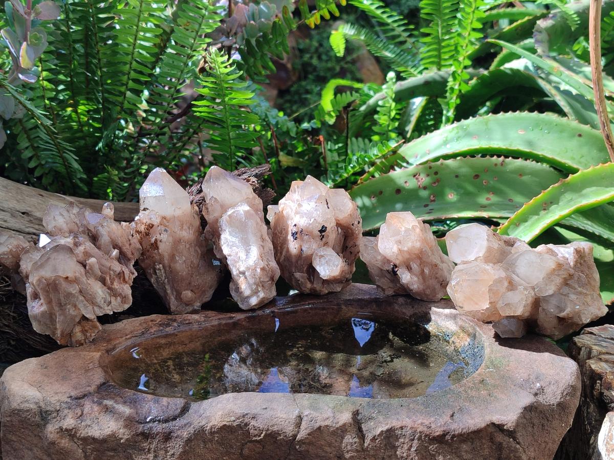 Natural Cascading White Phantom Smokey Luena Quartz Clusters x 6 From Luena, Congo - Toprock Gemstones and Minerals 