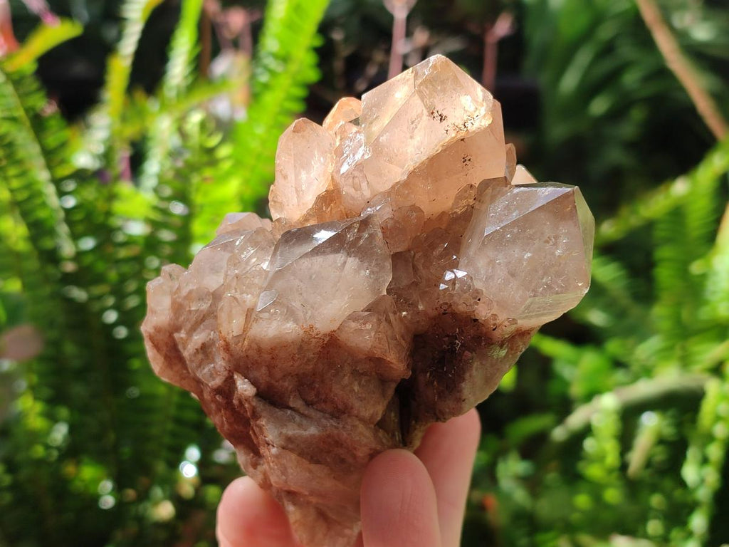 Natural Cascading White Phantom Smokey Luena Quartz Clusters x 6 From Luena, Congo - Toprock Gemstones and Minerals 
