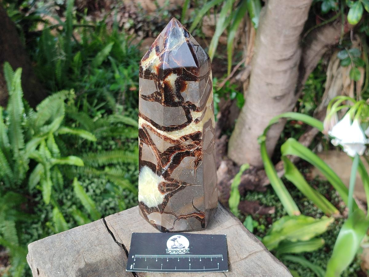 Polished Large Septerye Display Tower x 1 From Mahajanga, Madagascar - Toprock Gemstones and Minerals 