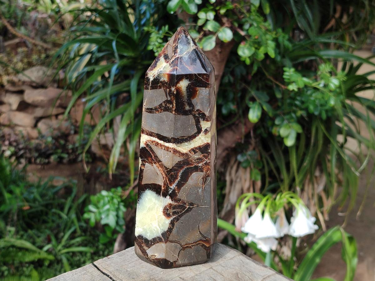 Polished Large Septerye Display Tower x 1 From Mahajanga, Madagascar - Toprock Gemstones and Minerals 