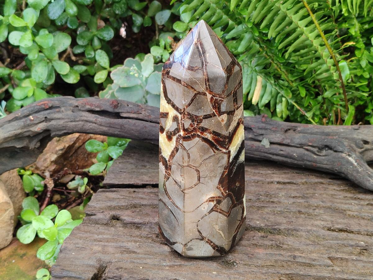 Polished Large Septerye Display Tower x 1 From Mahajanga, Madagascar - Toprock Gemstones and Minerals 