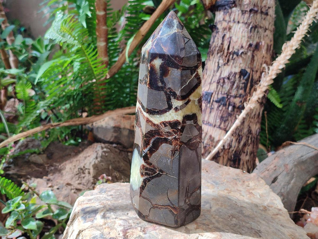 Polished Large Septerye Display Tower x 1 From Mahajanga, Madagascar - Toprock Gemstones and Minerals 