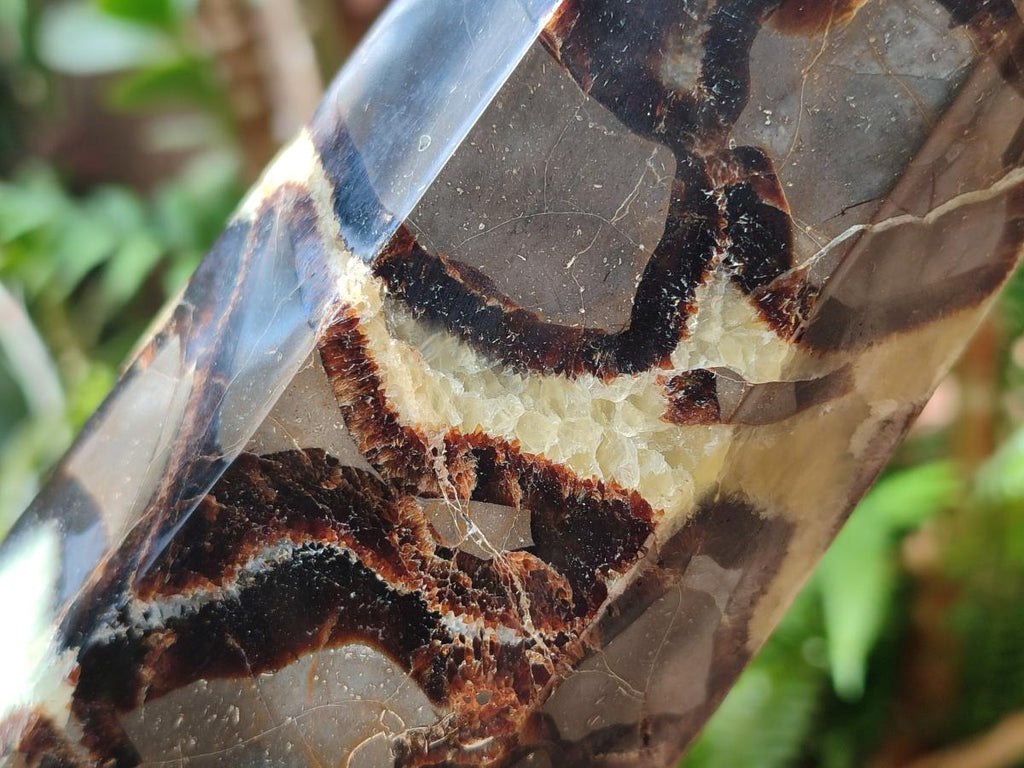 Polished Large Septerye Display Tower x 1 From Mahajanga, Madagascar - Toprock Gemstones and Minerals 