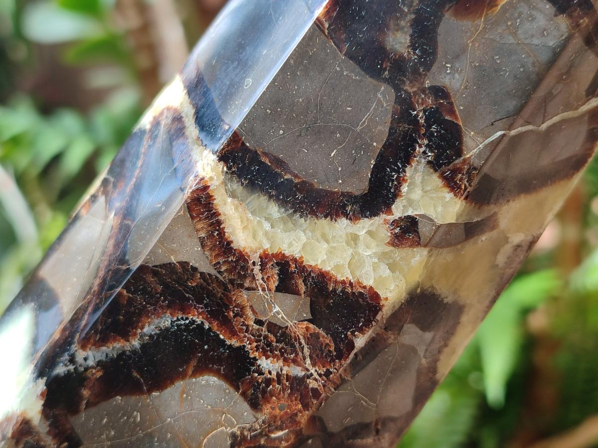 Polished Large Septerye Display Tower x 1 From Mahajanga, Madagascar - Toprock Gemstones and Minerals 