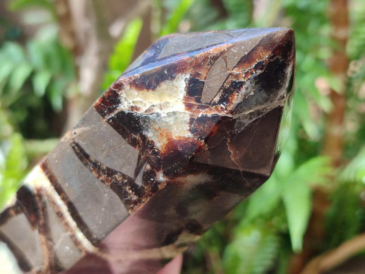 Polished Large Septerye Display Tower x 1 From Mahajanga, Madagascar - Toprock Gemstones and Minerals 