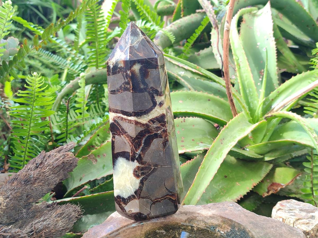 Polished Large Septerye Display Tower x 1 From Mahajanga, Madagascar - Toprock Gemstones and Minerals 