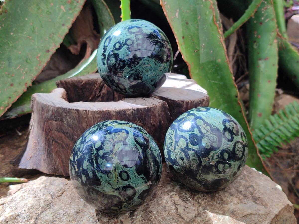 Polished Stromatolite Spheres x 3 From Katsepy, Madagascar - Toprock Gemstones and Minerals 