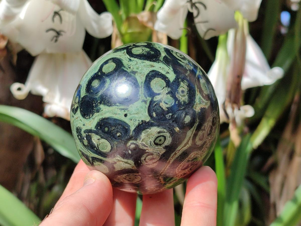 Polished Stromatolite Spheres x 3 From Katsepy, Madagascar - Toprock Gemstones and Minerals 