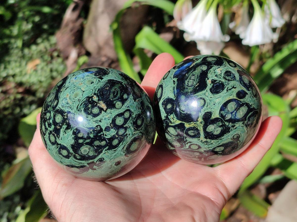 Polished Stromatolite Spheres x 3 From Katsepy, Madagascar - Toprock Gemstones and Minerals 