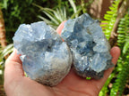 Natural Blue Celestite Specimens x 6 From Sakoany, Madagascar - Toprock Gemstones and Minerals 