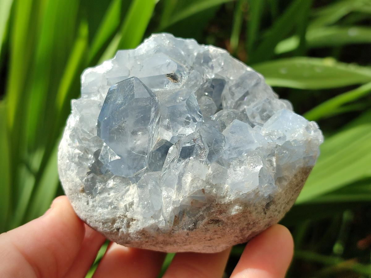 Natural Blue Celestite Specimens x 6 From Sakoany, Madagascar - Toprock Gemstones and Minerals 