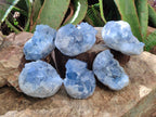 Natural Blue Celestite Specimens x 6 From Sakoany, Madagascar - Toprock Gemstones and Minerals 
