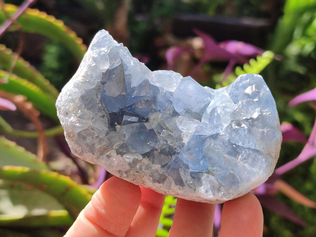 Natural Blue Celestite Specimens x 6 From Sakoany, Madagascar - Toprock Gemstones and Minerals 