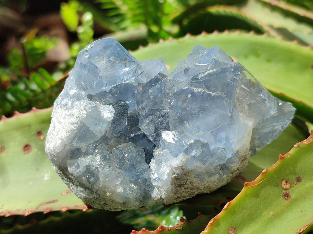 Natural Blue Celestite Specimens x 6 From Sakoany, Madagascar - Toprock Gemstones and Minerals 