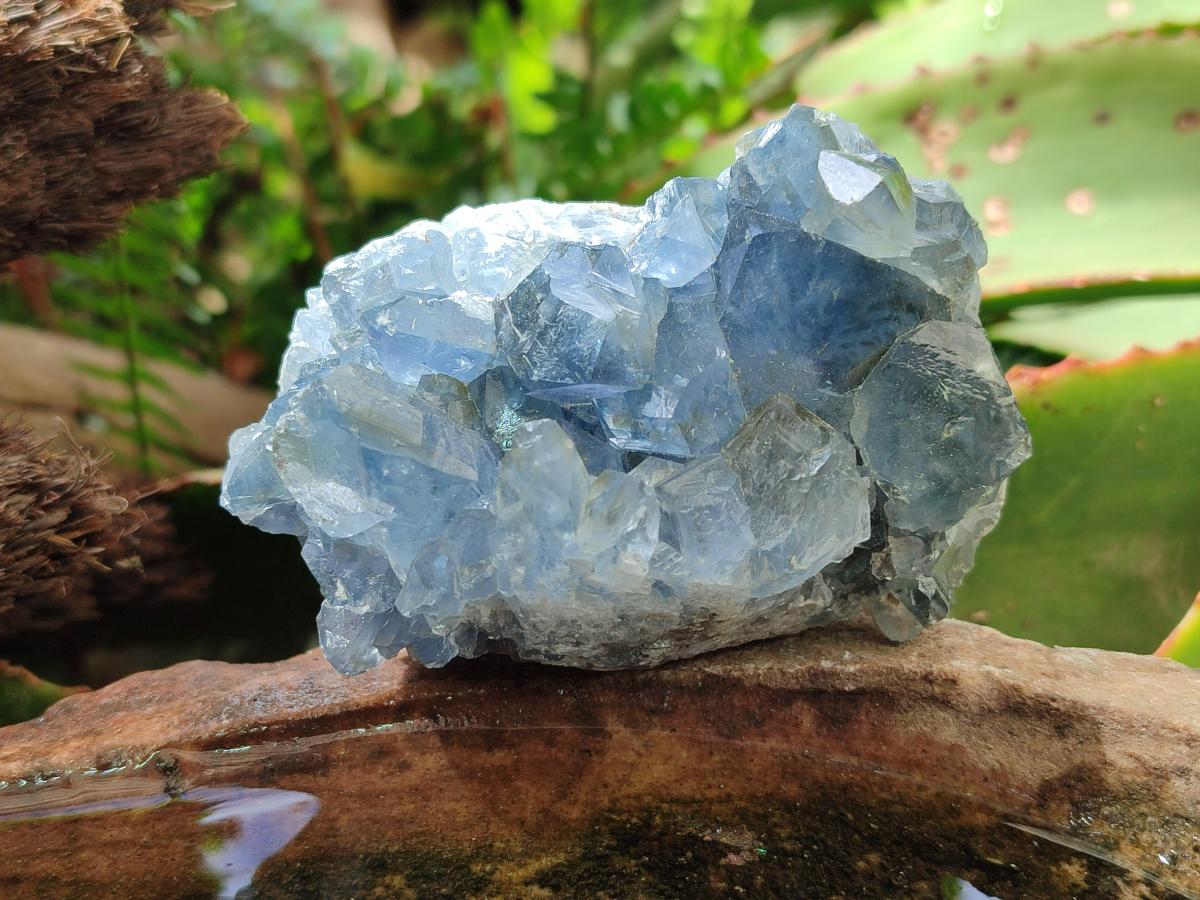Natural Blue Celestite Specimens x 6 From Sakoany, Madagascar - Toprock Gemstones and Minerals 