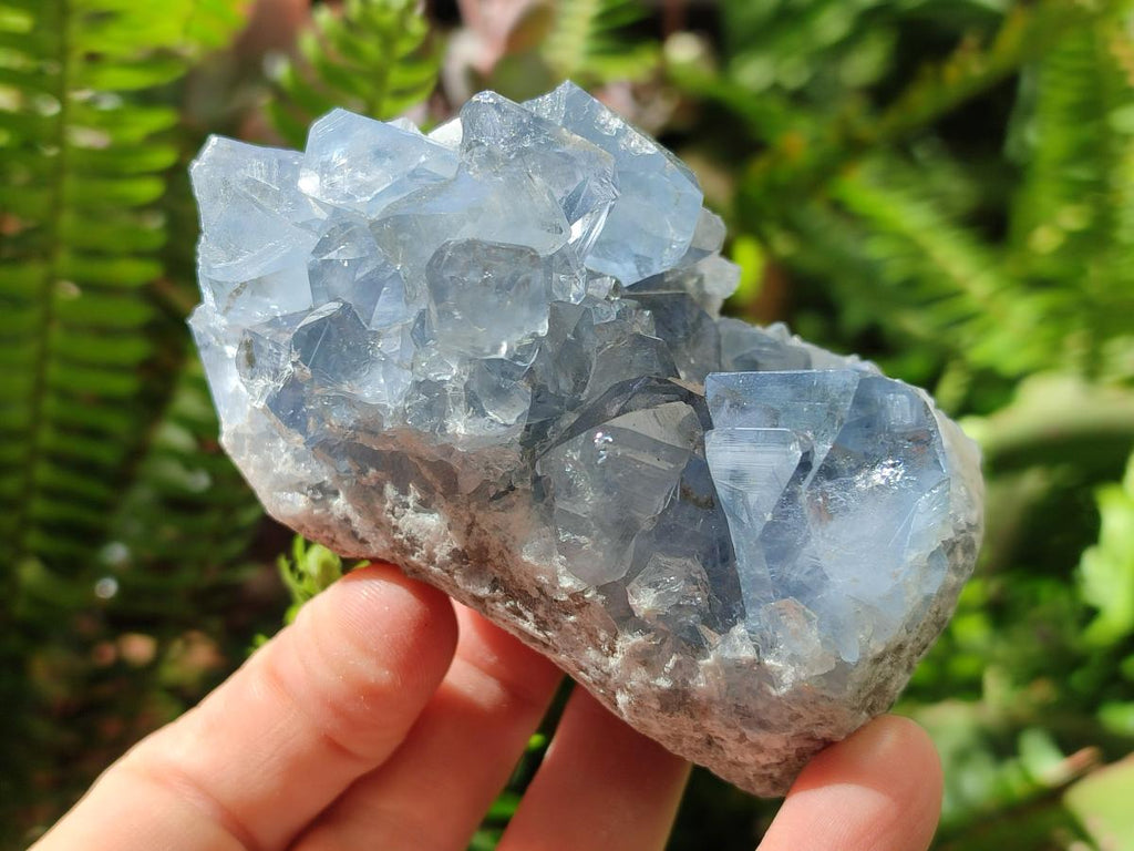 Natural Blue Celestite Specimens x 6 From Sakoany, Madagascar - Toprock Gemstones and Minerals 