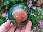 Polished Polychrome Jasper Spheres x 3 From Androka, Madagascar - Toprock Gemstones and Minerals 