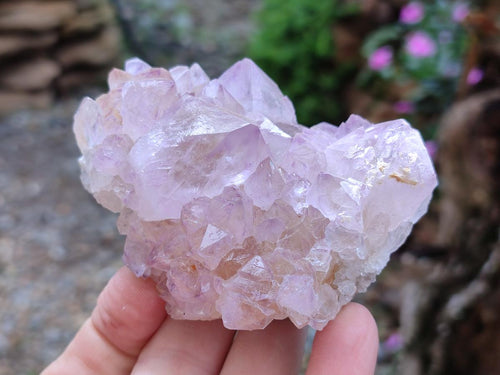 Natural Sunburst Amethyst Spirit Clusters x 6 From Boekenhouthoek, South Africa - Toprock Gemstones and Minerals 