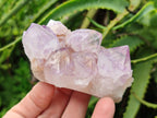 Natural Sunburst Amethyst Spirit Clusters x 6 From Boekenhouthoek, South Africa - Toprock Gemstones and Minerals 