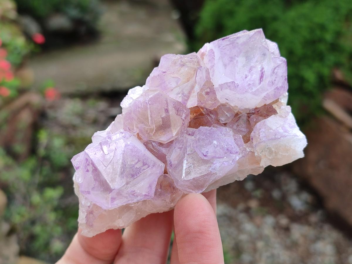 Natural Sunburst Amethyst Spirit Clusters x 6 From Boekenhouthoek, South Africa - Toprock Gemstones and Minerals 