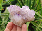 Natural Sunburst Amethyst Spirit Clusters x 6 From Boekenhouthoek, South Africa - Toprock Gemstones and Minerals 