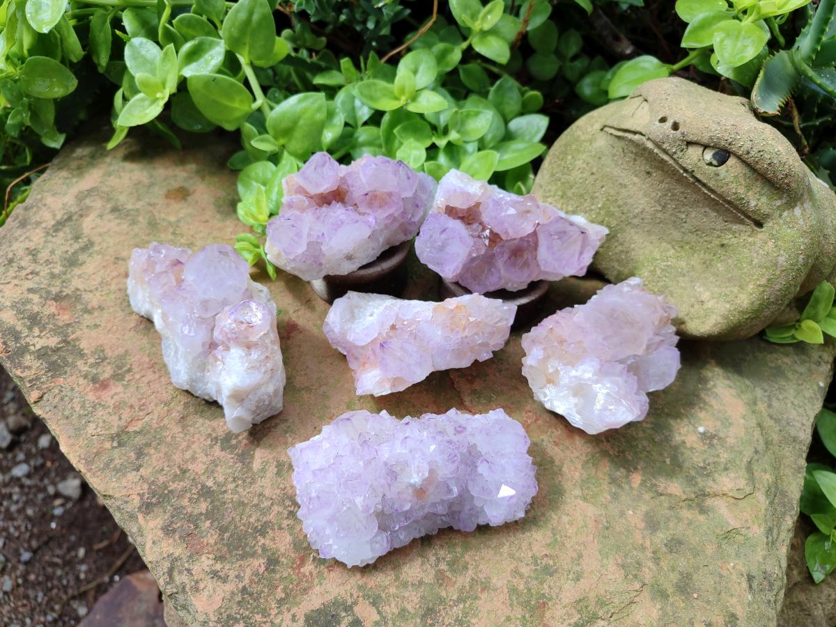 Natural Sunburst Amethyst Spirit Clusters x 6 From Boekenhouthoek, South Africa - Toprock Gemstones and Minerals 