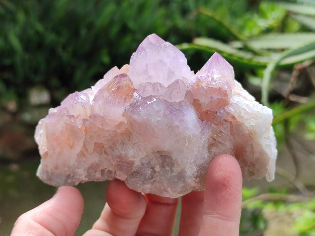 Natural Sunburst Amethyst Spirit Clusters x 6 From Boekenhouthoek, South Africa - Toprock Gemstones and Minerals 