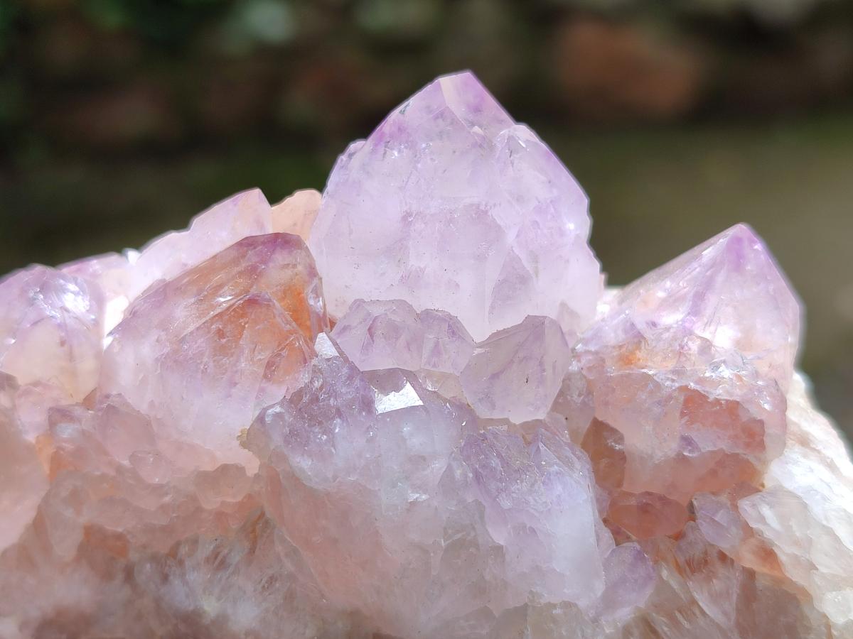 Natural Sunburst Amethyst Spirit Clusters x 6 From Boekenhouthoek, South Africa - Toprock Gemstones and Minerals 