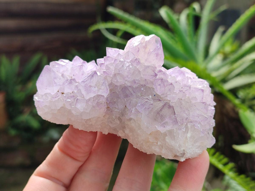 Natural Sunburst Amethyst Spirit Clusters x 6 From Boekenhouthoek, South Africa - Toprock Gemstones and Minerals 