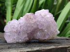 Natural Sunburst Amethyst Spirit Clusters x 6 From Boekenhouthoek, South Africa - Toprock Gemstones and Minerals 