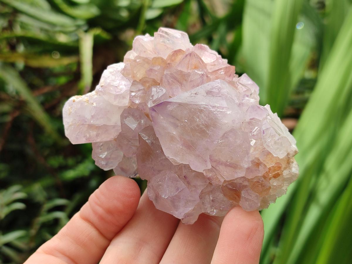 Natural Sunburst Amethyst Spirit Clusters x 6 From Boekenhouthoek, South Africa - Toprock Gemstones and Minerals 